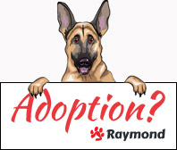 raymond-adoption