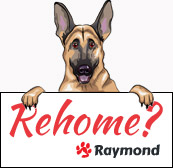 raymond-rehome