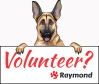 raymond-volunteer