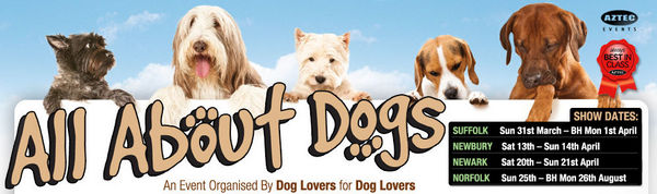 All About Dogs Poster