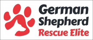GSRE Logo - text on right