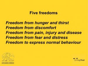 freedom5