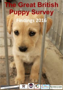 great-british-puppy-survey-front-cover