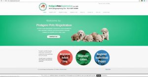 pedigree-pets-registration-club-w1000-h800