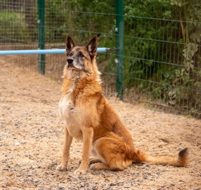 Harvey (6) Harvey (6)