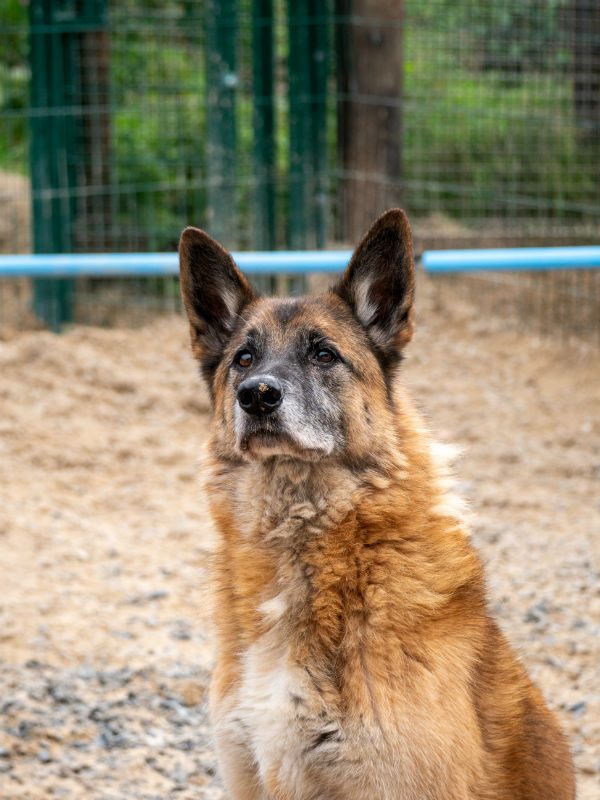 Harvey (7) Harvey (7)