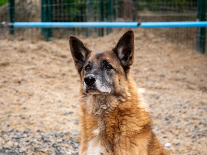 Harvey (8) Harvey (8)