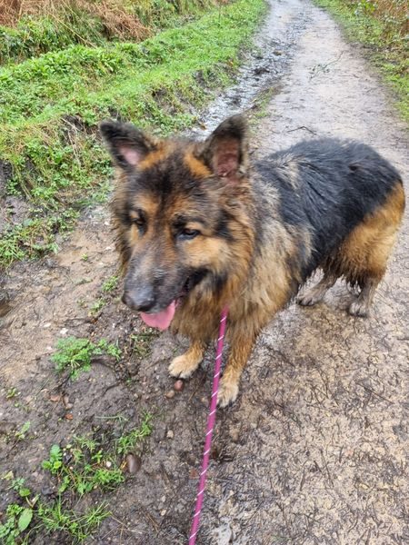 105df291-f0f6-4ddb-ae15-076f8db4f11f_result