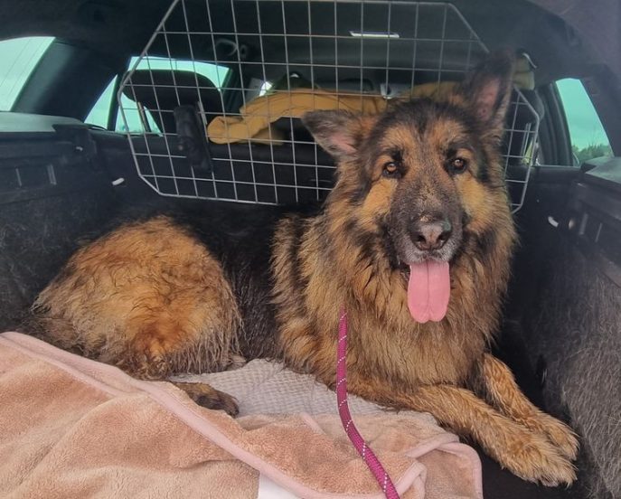 1431b972-6458-4cc8-ad1f-a6ab9f719acc_result