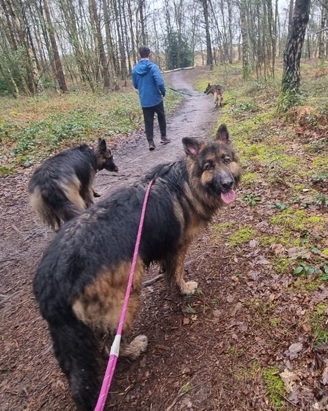 d39b71ef-58ff-4f17-be04-d11c99f88092_result