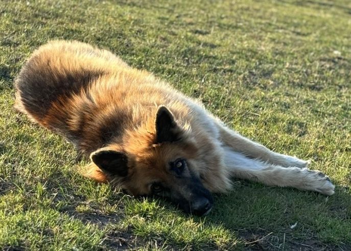 IMG_0592_result IMG_0592_result