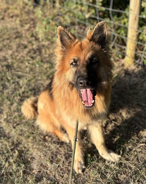 IMG_0603_result IMG_0603_result