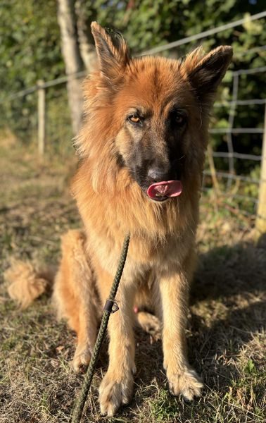 IMG_0610_result IMG_0610_result