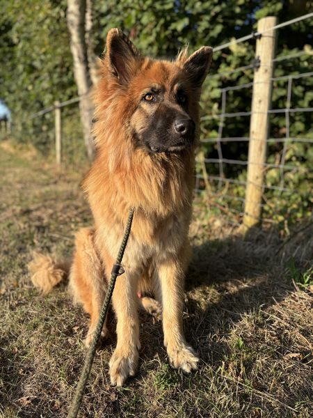 IMG_0614_result IMG_0614_result