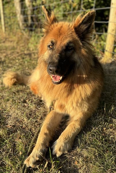 IMG_0620_result IMG_0620_result