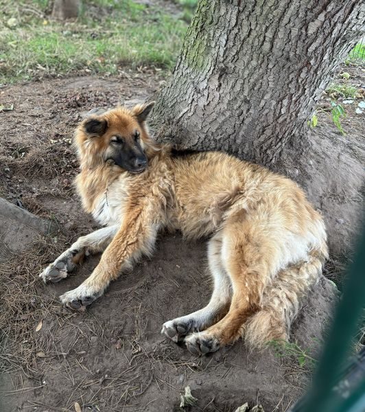 IMG_0630_result IMG_0630_result