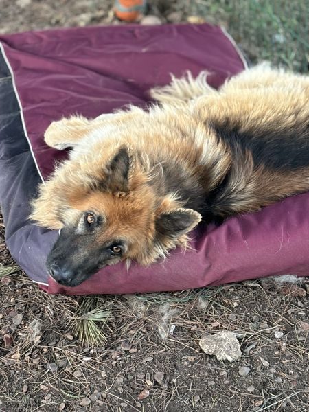 IMG_0663_result IMG_0663_result