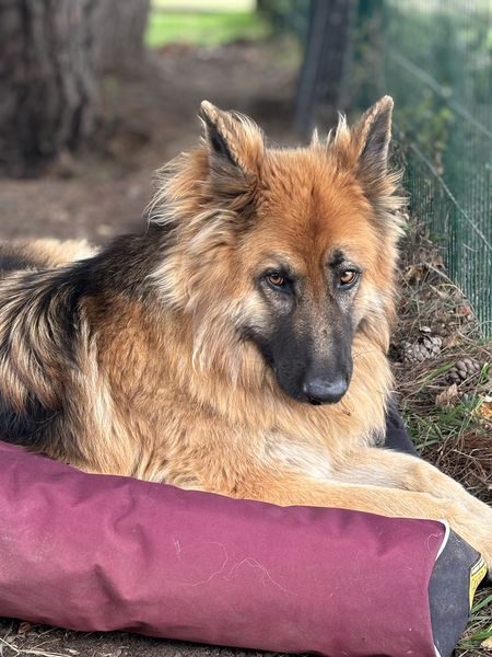 IMG_0668_result IMG_0668_result