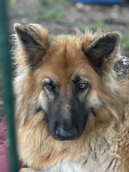 IMG_0679_result IMG_0679_result