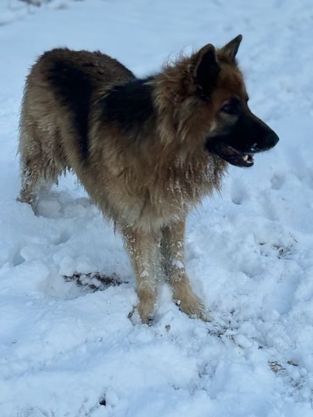 IMG_1108_result IMG_1108_result