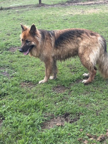 IMG_3277_result IMG_3277_result