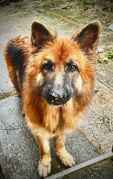 IMG_9202_result IMG_9202_result