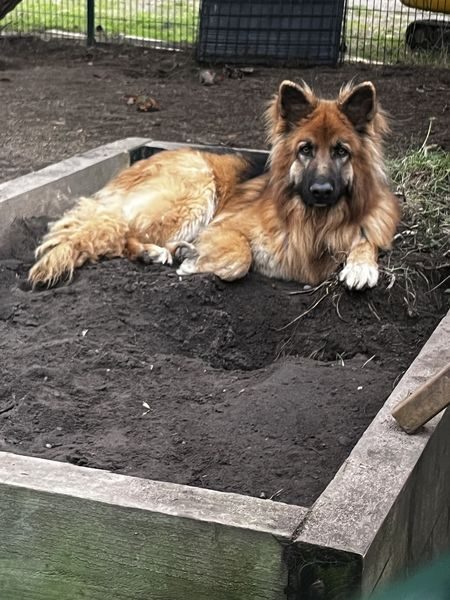 IMG_9615_result IMG_9615_result