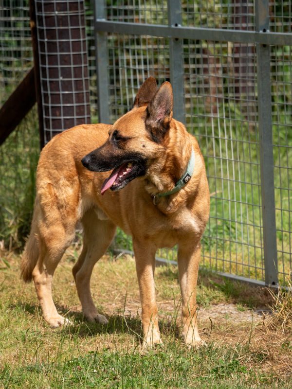 Buddy July 2025 (1)-w1000-h800