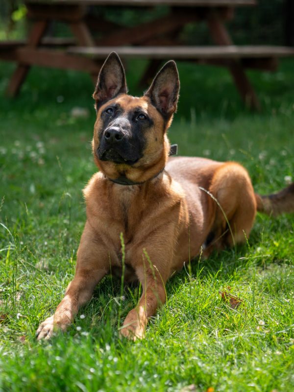 Kody July 2025 (2)