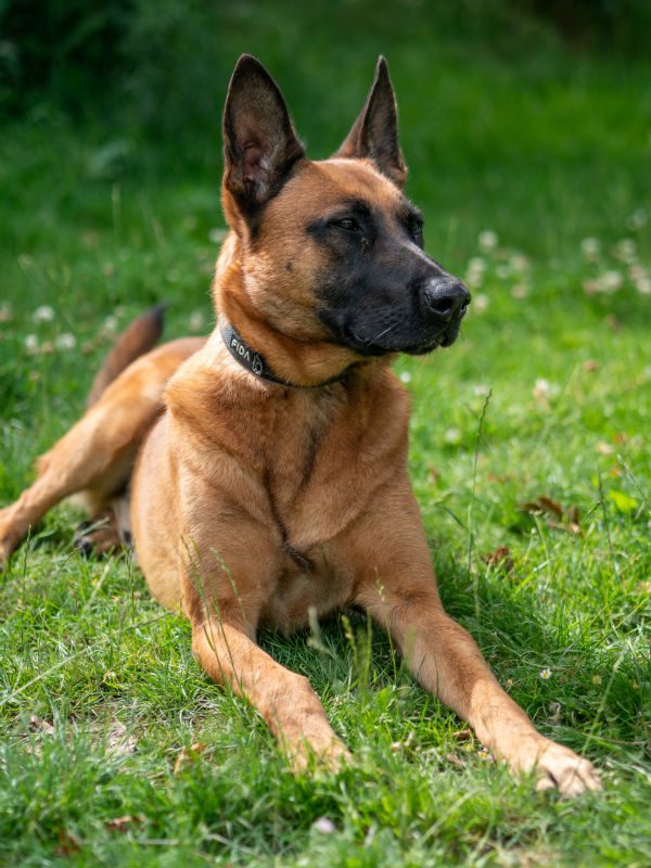Kody July 2025 (3)