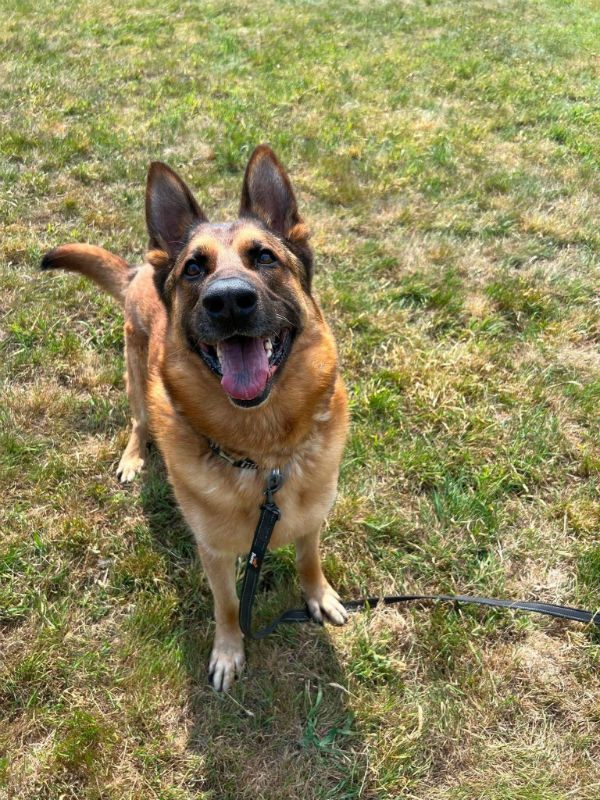 Hudson (12)