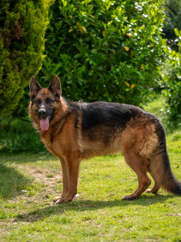 Freya 2025 (1)