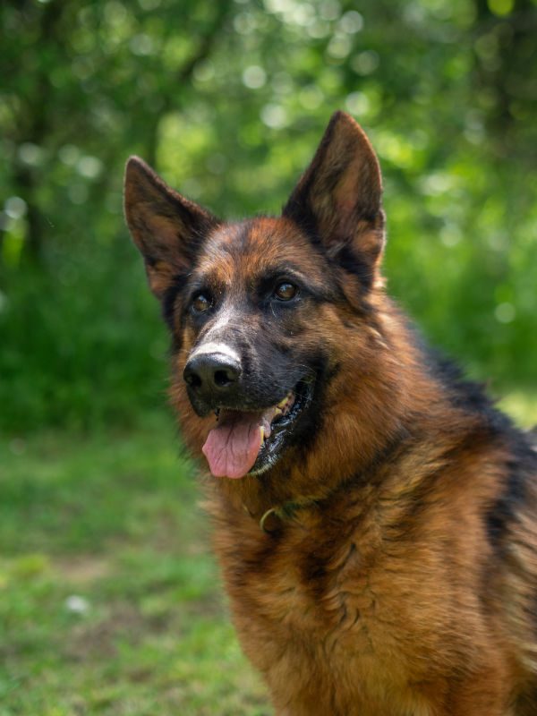 Freya 2025 (6)