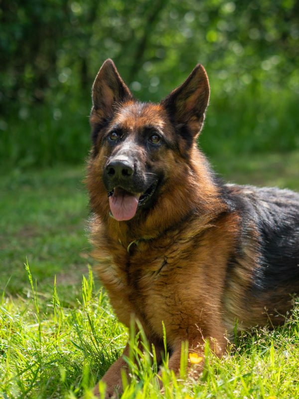 Freya 2025 (7)