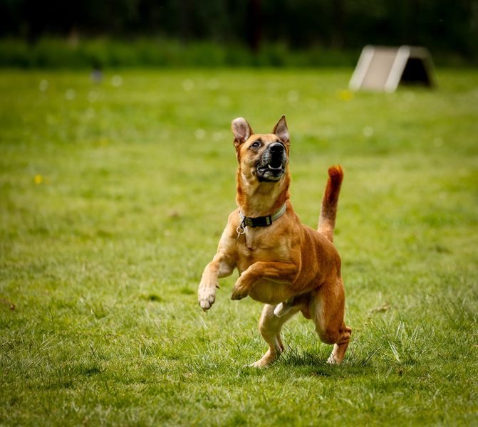 494901633_10238369526081678_1720910489214685754_n_result