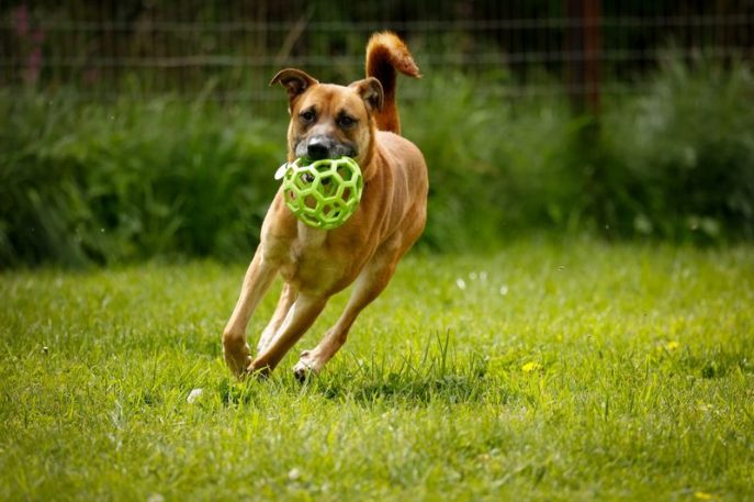 495038217_10238369528201731_1271705767257581285_n_result