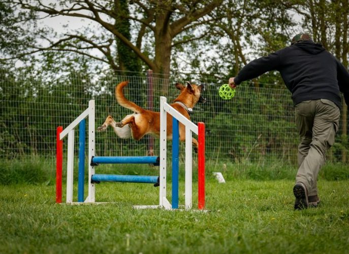 495612756_10238369532921849_7686716854777770440_n_result