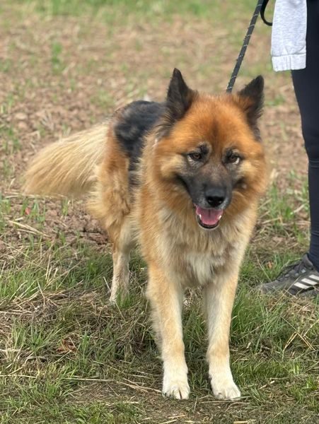 IMG_4216_result IMG_4216_result