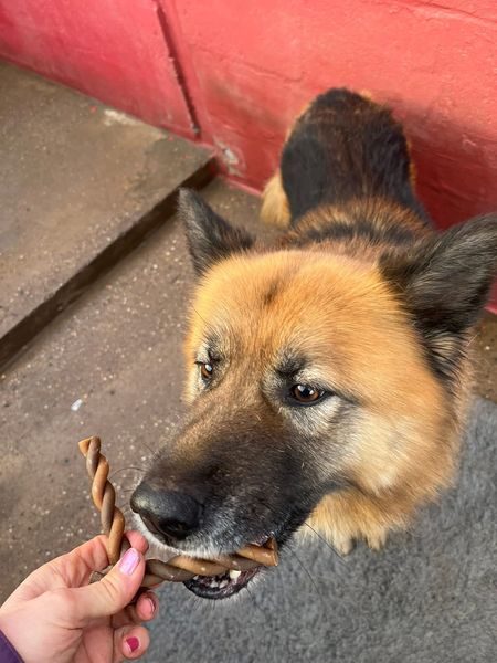 IMG_4217_result IMG_4217_result