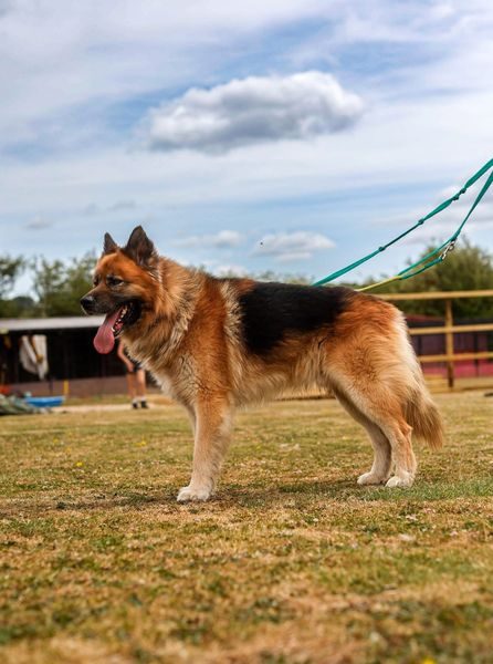 IMG_4220_result IMG_4220_result