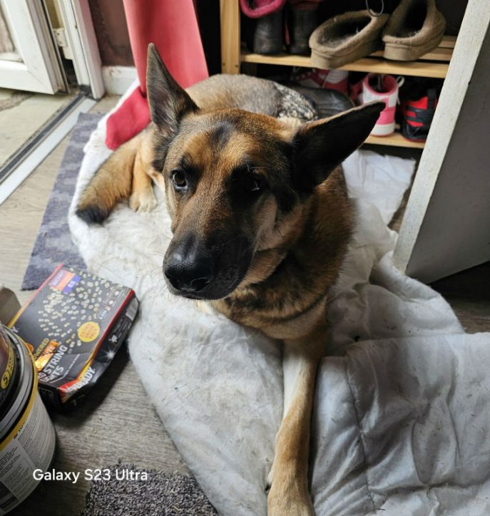 Max (1)