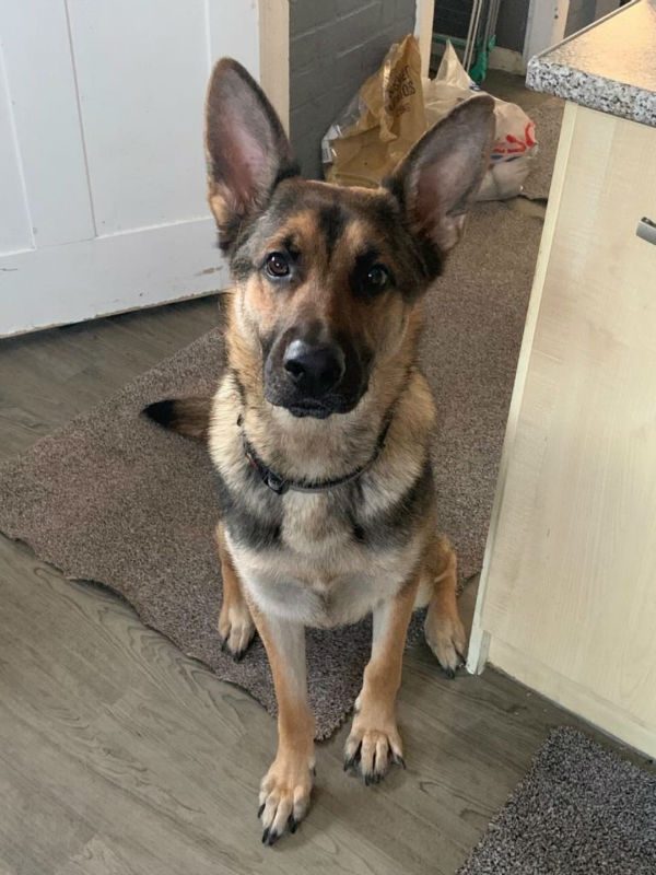 Max (2)
