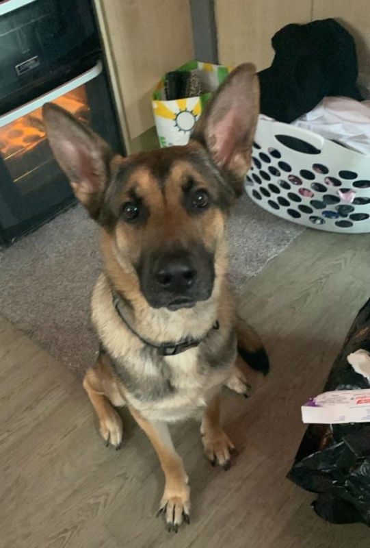 Max (3)
