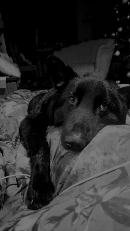 Midnight (3)