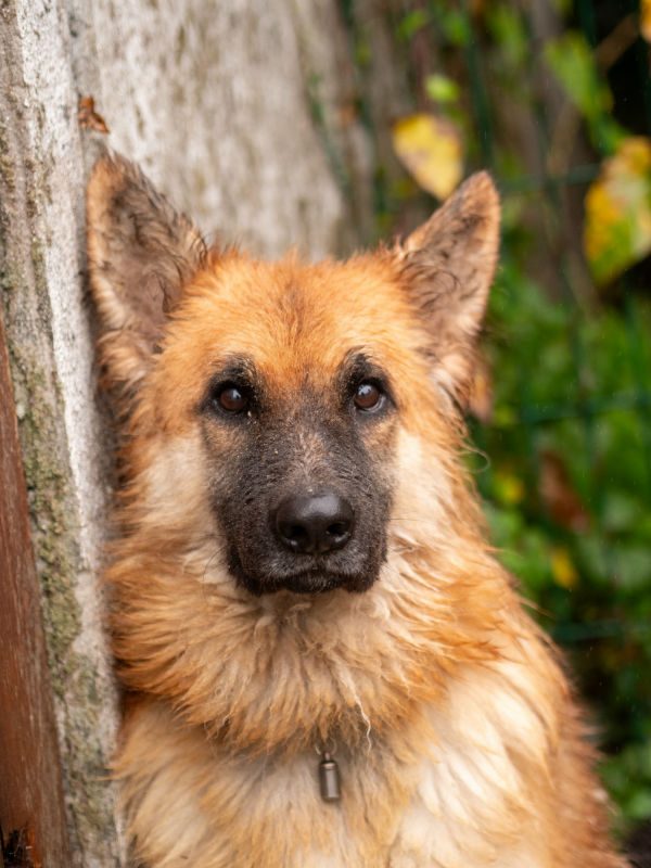 Thunder Oct 2025 (1)