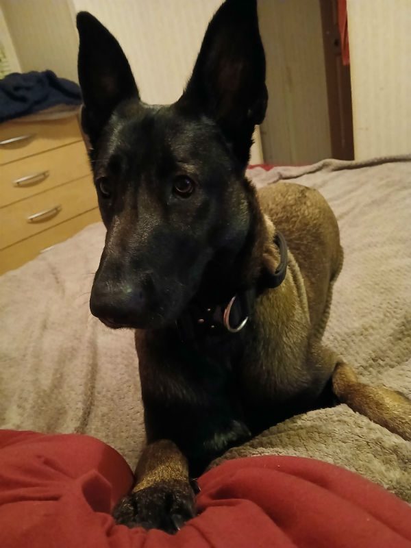 Zena (1)