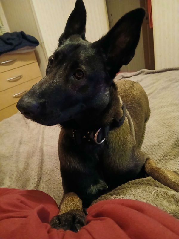 Zena (2)