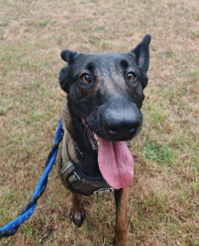 Zena (5)