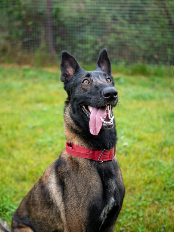 Zena Sept 2025 (1)