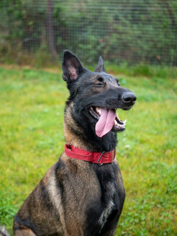 Zena Sept 2025 (2)